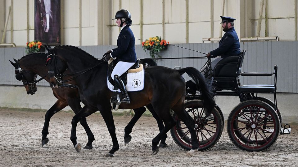 Obrazem: ZH Tlumačov prezentoval plemenné hřebce pro sezonu 2023