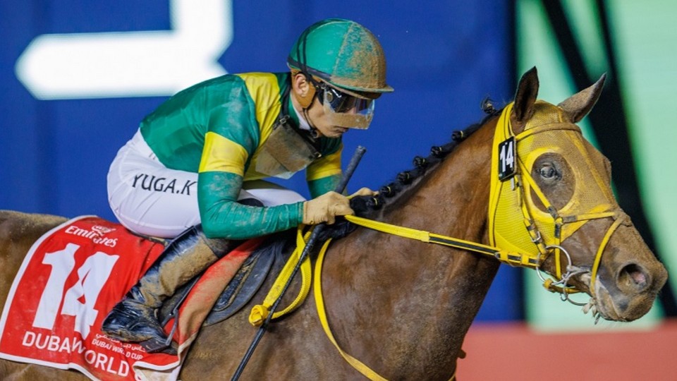 Dubai World Cup pro Japonce. Ushba Tesoro ukázal zdrcující speed