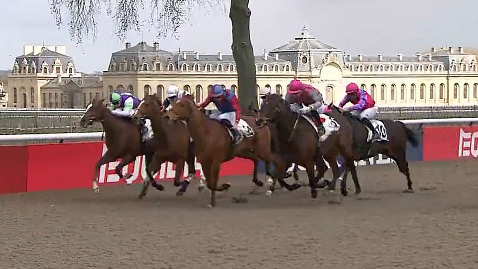Matt Machine těsně poražen v Quinté+, Bartoš se umístil v Compiegne