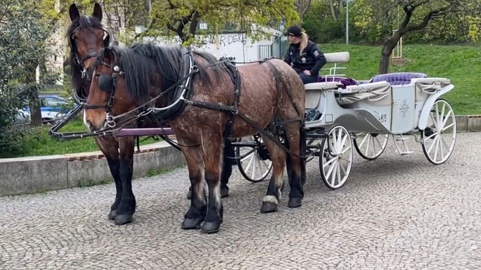 Koňský povoz v pražských Nuslích zastavil provoz. Kočí zkolaboval
