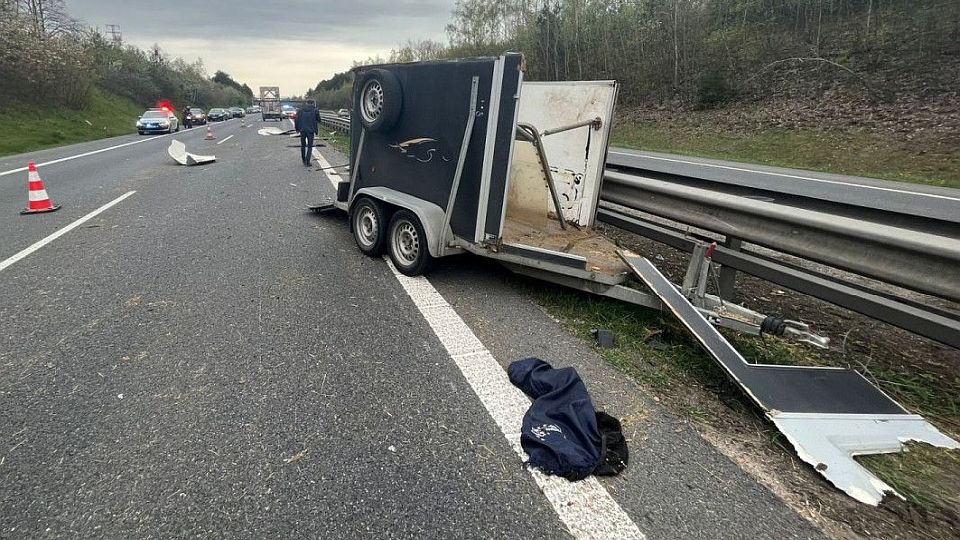 Koně po nehodě utíkali po dálnici D11. Vyvázli s menším zraněním