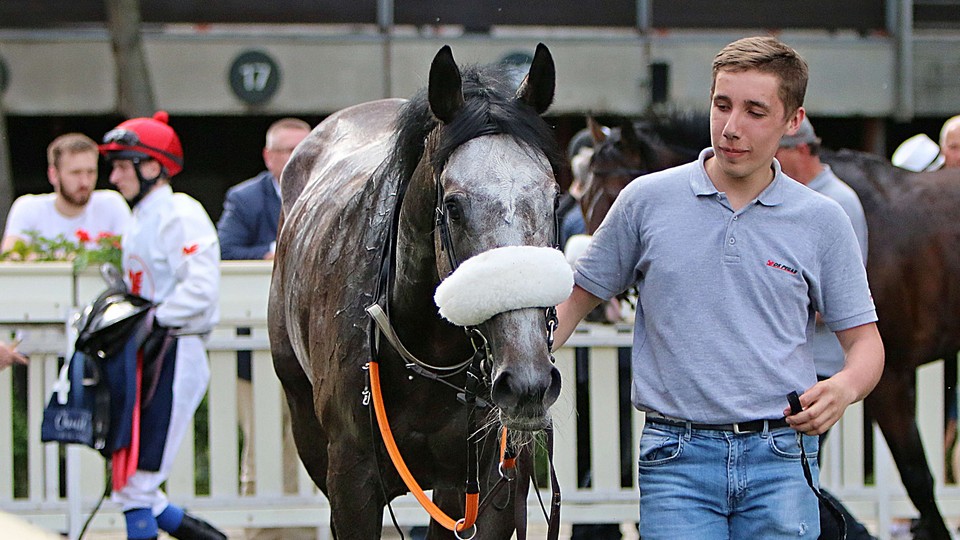 Tcheque King triumfoval ve Wissembourgu, Shabana nestačila v listed