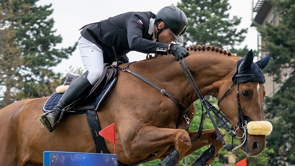 Příhoda s Ibizou D šel kvalifikaci do GP CSIO3* v Mannheimu bez chyby