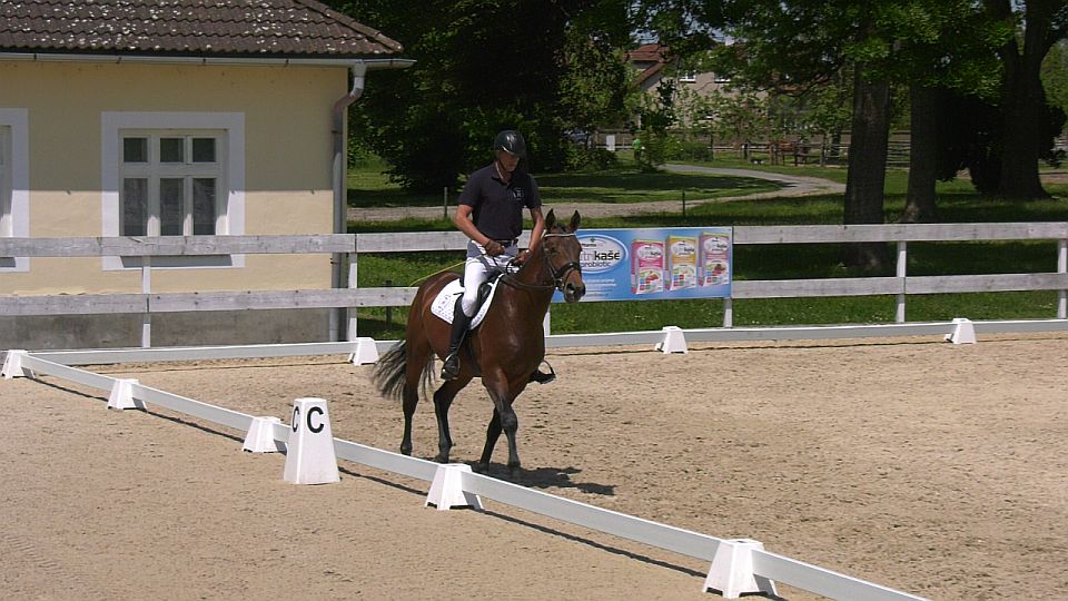 Potomci Stalypsa ovládli tlumačovské zkoušky hřebců. Vyhrál Lucky Luck