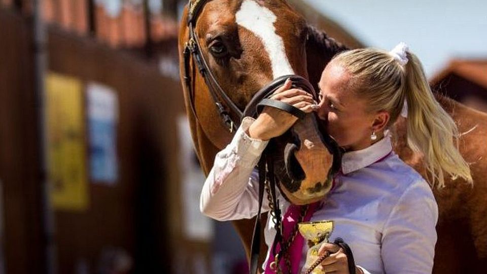 Největší výstava velšských pony se vrací po deseti letech do Pardubic