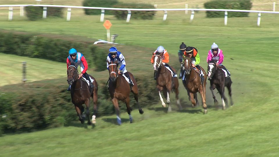 Equinews: Suverénní Caucasian v Mostě. Královické Working Equitation