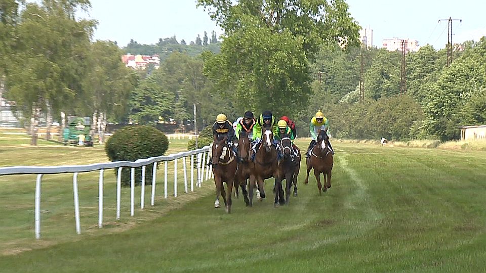 Equinews: Vévoda triumfoval v Karlovarské dvojnásobné míli. KMK Ptýrov
