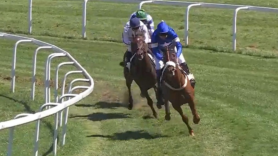 Quinze De La Rose třetí v Grand Steeple-Chase v Aix-les-Bains