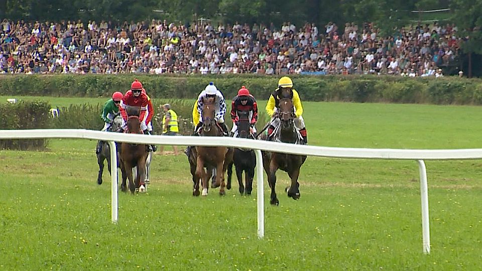 Equinews: Odložil vyhrál Velkou cenu Netolic. V KMK uspěl Cantos FHP