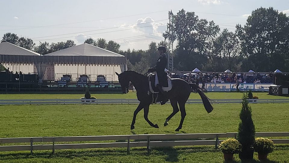 Miroslav Trunda je při CCI4*-L ve Floresti po drezuře sedmý a osmý