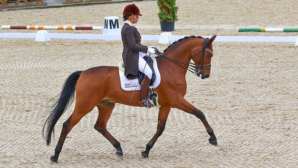 Finále Českého poháru ČJF 2020 v drezuře: Po dvou kolech vede Hábová