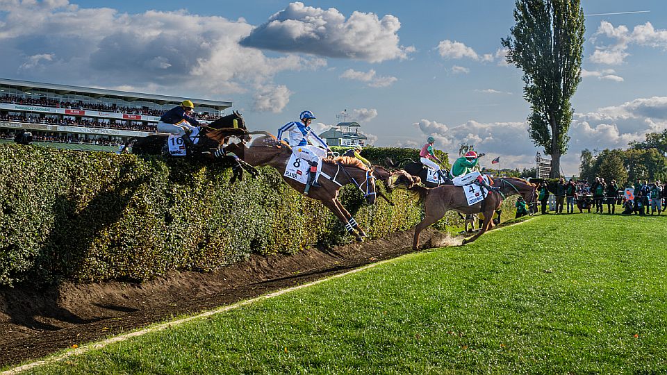 Equinews: 133. Velkou pardubickou vyhrál favorit Sacamiro s Faltejskem