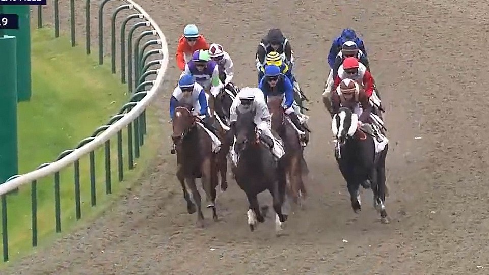 Mr Percy dobře druhý v Lyonu, z Deauville tentokrát bez dotace