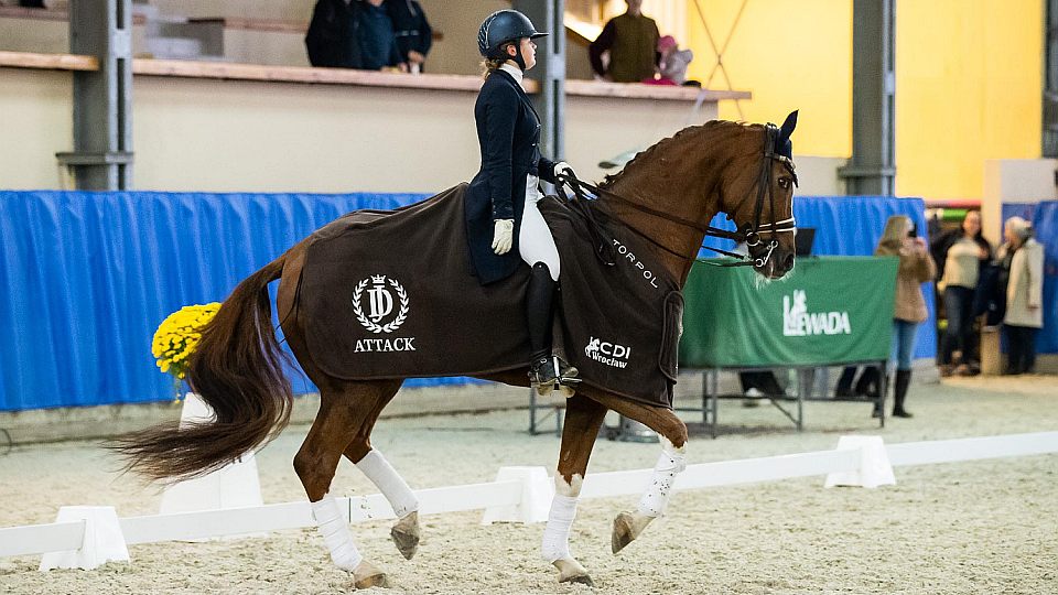 Johana Vášáryová ve Wroclawi triumfovala mezi juniory i mladými jezdci