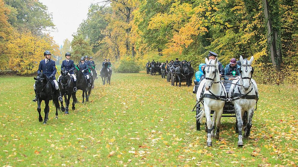 Po rekonstrukci stájí se do Heřmanova Městce vrátila i Hubertova jízda