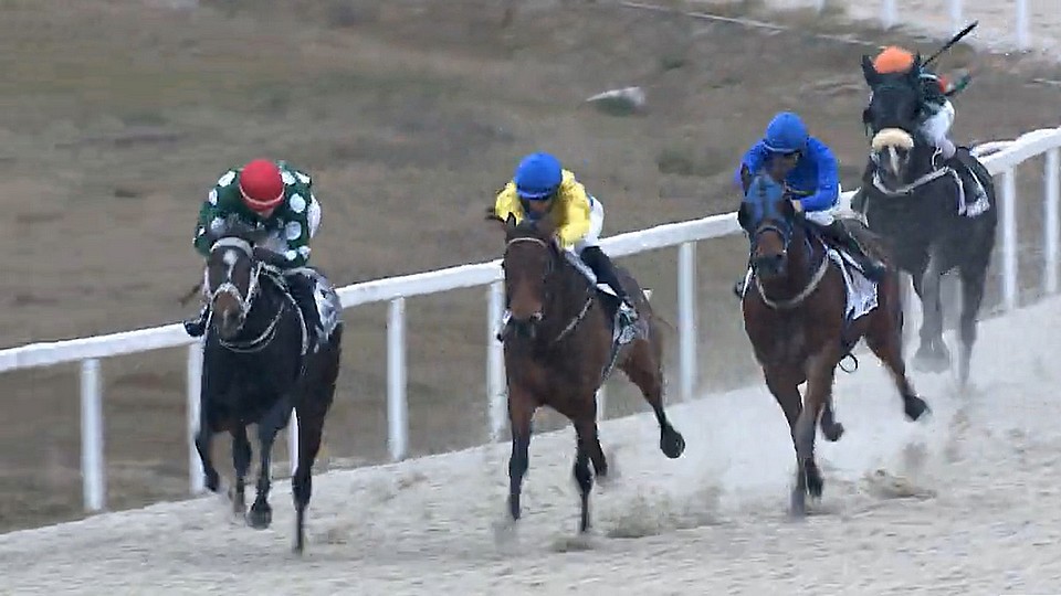Whirl Wind Girl zvítězila v Budapešti, Gasparini na San Siru nestačil