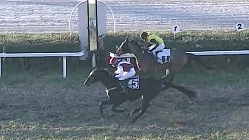 Neprašová a Faltejsková vládly v Trevisu, stáj Arenzo vyhrála na sněhu