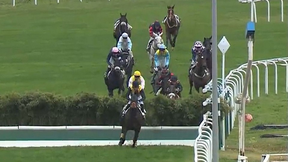Vezzana druhá, Lord Dragon čtvrtý. Úspěšný start mítinku v Cagnes
