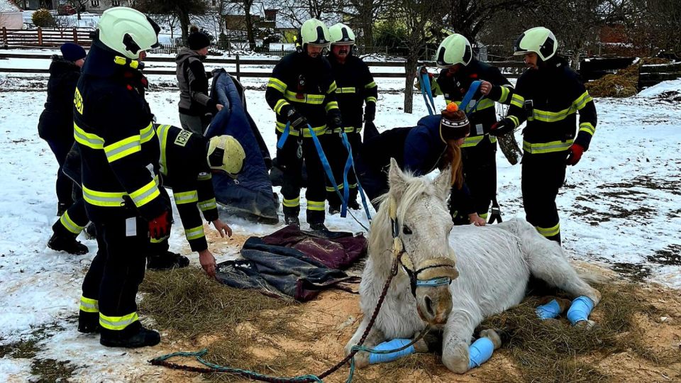 Hasiči pomáhali staršímu koni na nohy. Podobných případů v zimě přibývá
