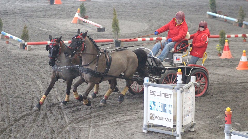 Domácí start sezony 2024 se blíží. Na spřežení a drezuru již příští víkend