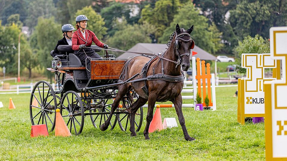Zlatá podkova 2024: 59. ročník seriálu zahrnuje včetně finále deset mítinků