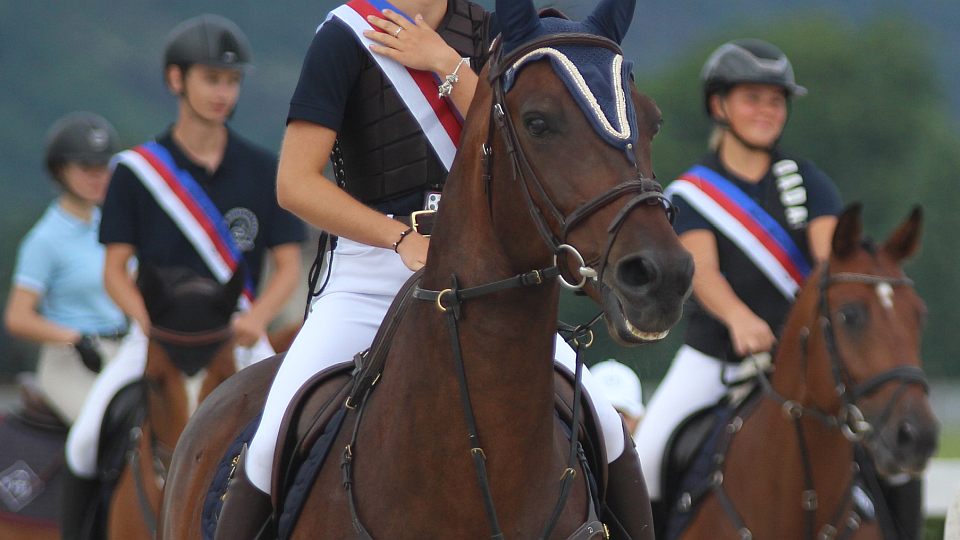 Členové oblastního výboru ČJF na Vysočině odstoupili kvůli internímu sporu