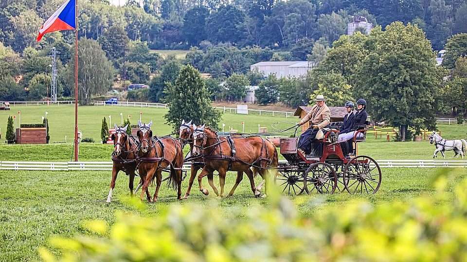 Červnová kvalifikace Zlaté podkovy proběhne. Do Humpolce chce 40 vozatajů