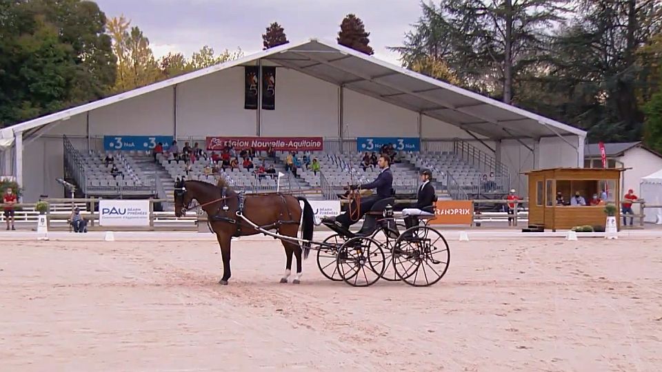 MS jednospřeží po drezuře: Bejr jednatřicátý, Sedlinská třiačtyřicátá