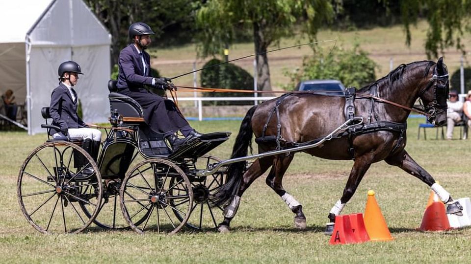 Daniel Bejr skončil se Sheldonem druhý při CAI3*-H1 v polském Ksiazi