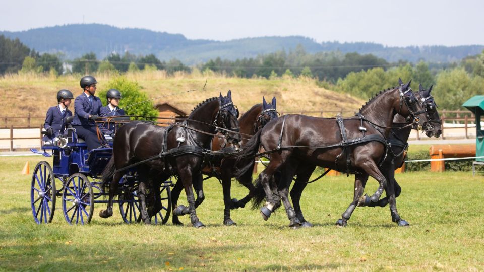 Finále vozatajské Zlaté podkovy: Neděle míchala pořadím jen v soutěži pony