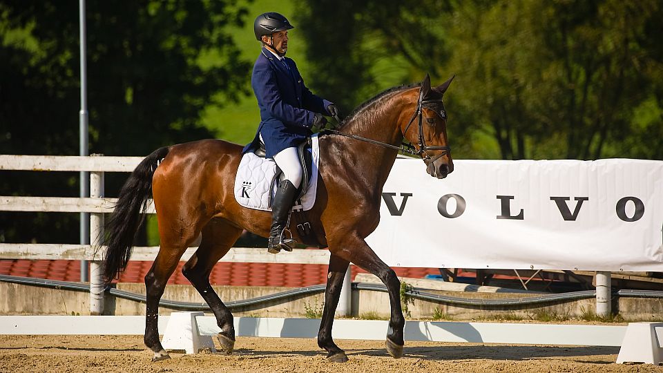 V Borové odstartovalo MČR 2024 ve všestrannosti. Po drezuře vede Jan Holec