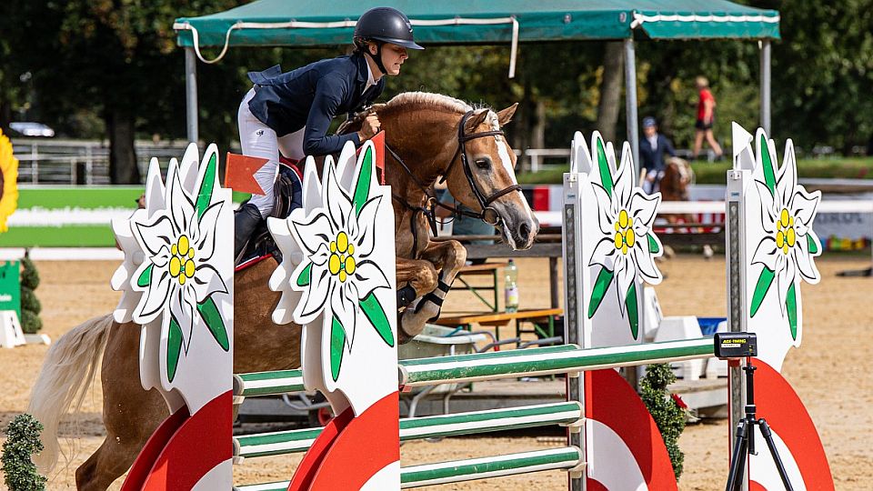 Vajrychová s klisnou Amediana Obrok jsou parkurovými mistry Evropy haflingů