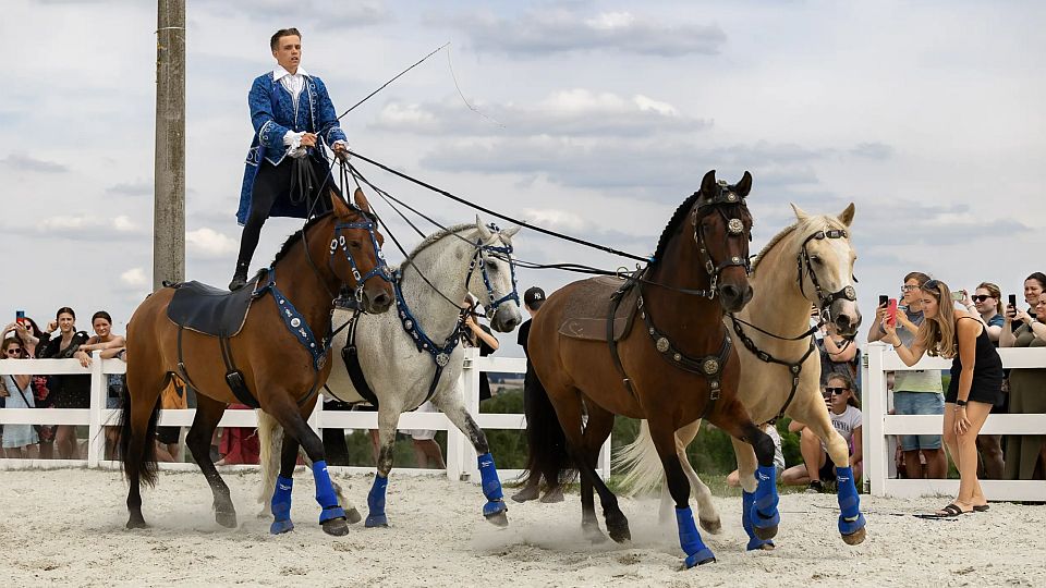 Večerní show při Koni v Lysé: Dorazí Niños de Caballos i maďarští lipicáni