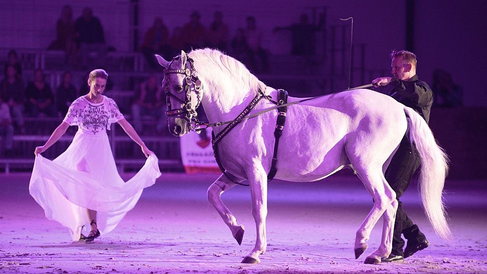 Soutěž: Vyhrajte dvě vstupenky na Večerní koňskou galashow 2024 v Lysé