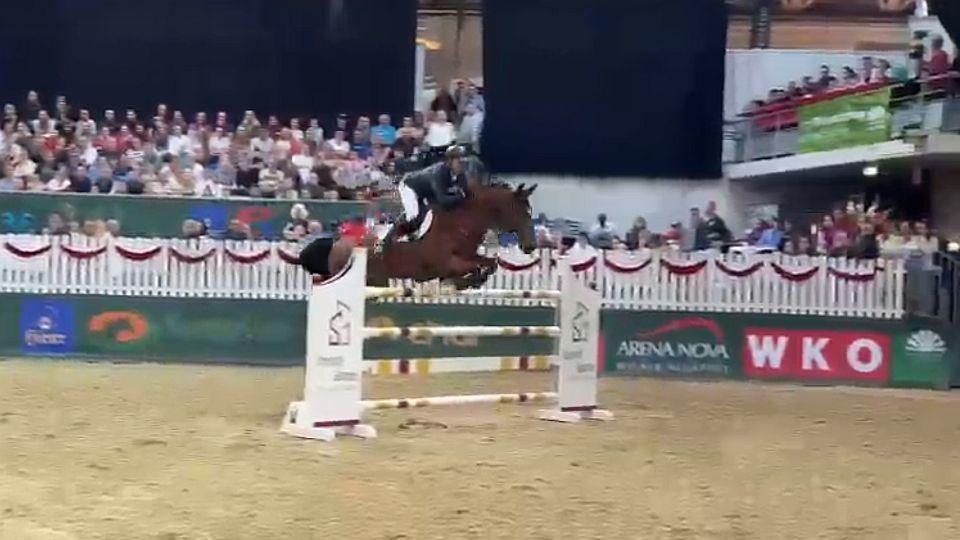 Aleš Opatrný byl s Forewerem při CSI3* ve Wiener Neustadtu opět druhý