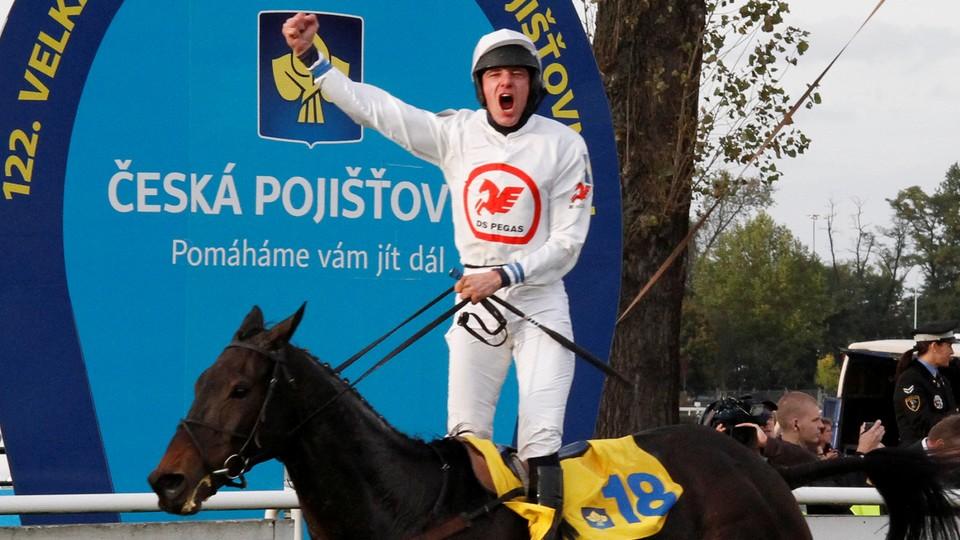 Pardubice chystají přehlídku koňských legend, přijede i Orphee des Blins
