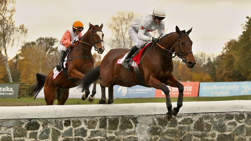 Závěrečné Pardubice ovládly klisny Pegasu, double slavil i Velek