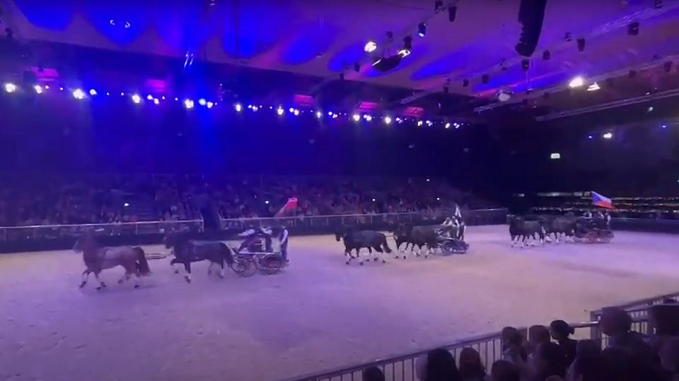 Starokladrubští vraníci vystupovali v Hannoveru při Night of the Horses
