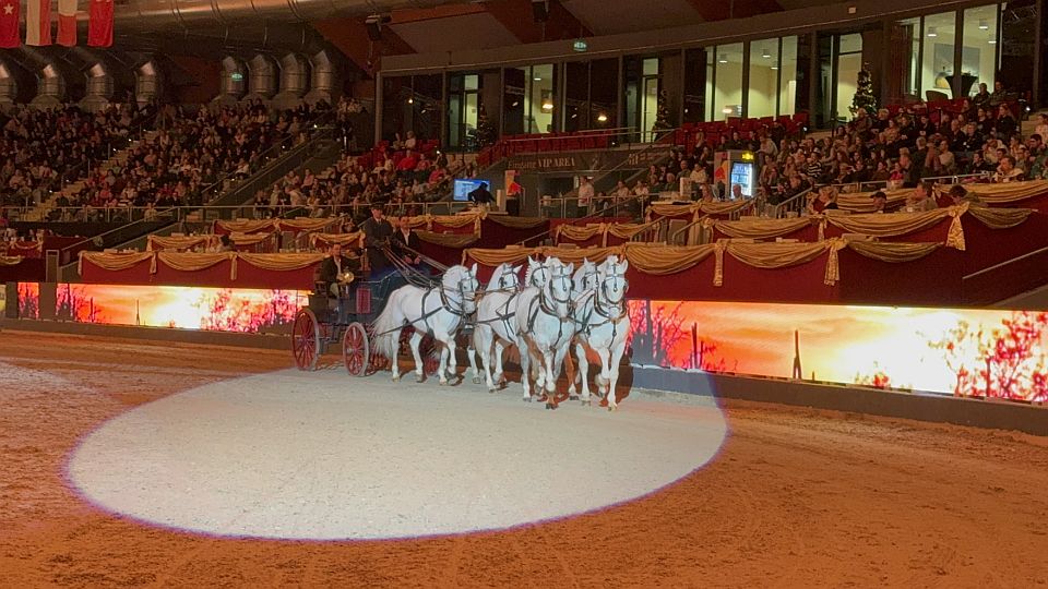 Bělouši z Kladrub účinkovali při Amadeus Horse Indoors také v rámci show