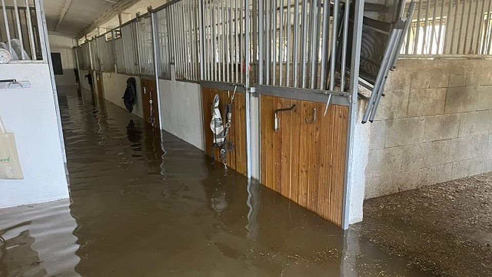Baník Ostrava vypsal sbírku na Donio. Shání prostředky na krmení a stelivo