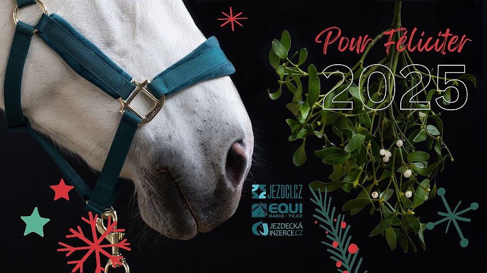 Přejeme vám i vašim koním do nového roku 2025 mnoho štěstí a pevné zdraví!