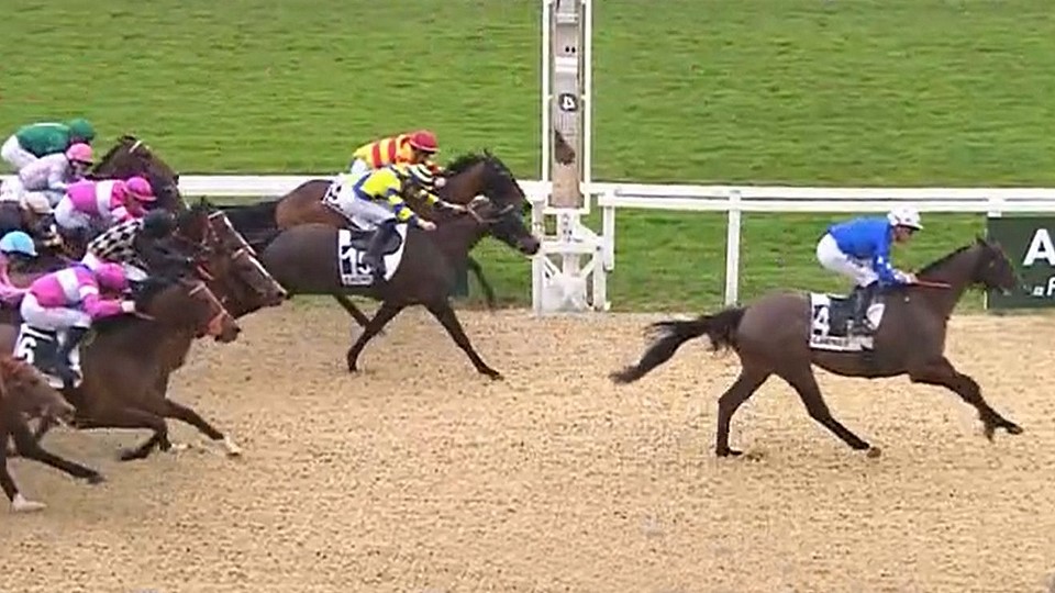 Poet Orten obstál v dubajském listed, v Cagnes dvě dotace v těsném Quinté+