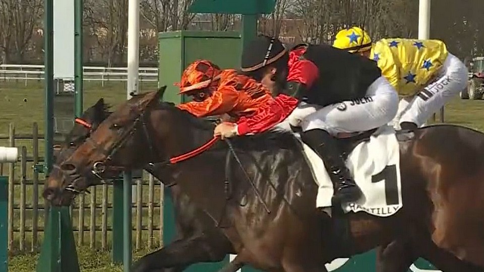 Lawliet třetí v Chantilly, debutanta Lucky Bastarda si všiml Racing Post