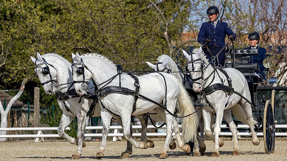 Secvičná před Rudolfovým pohárem vyšla Jiřímu Nesvačilovi velmi dobře