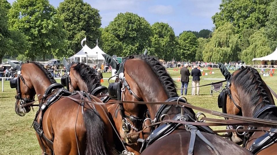 Skvělý závěr Royal Windsor Horse Show: Radek Nesvačil byl v parkuru třetí