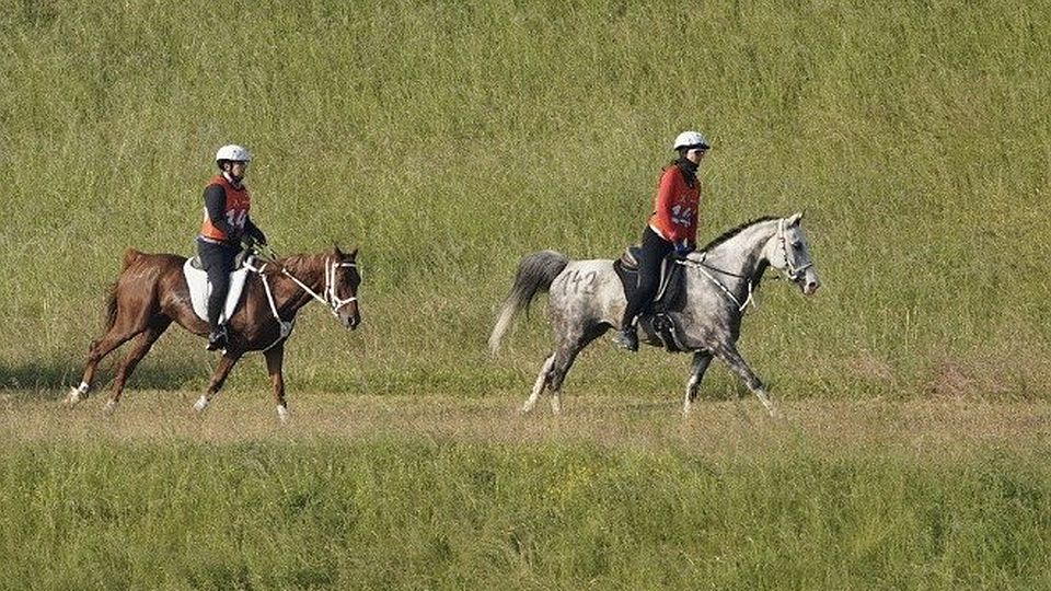 Petr Jadlovský a Tereza Kopecká vyhráli při CEI3* ve slovenském Šamoríně