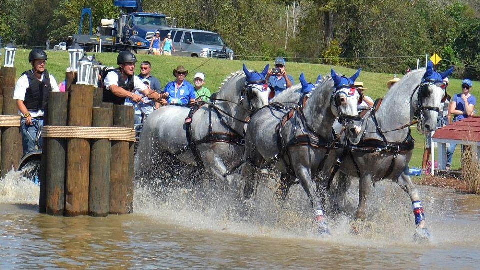 ikonka