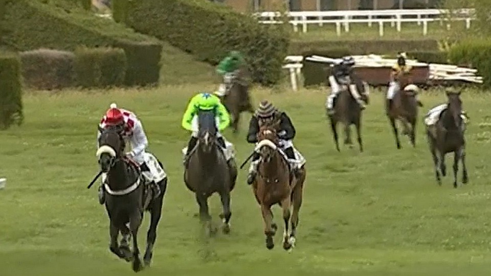 Další double v Meranu: Corail Noir vyhrál grupu 3, Gap Pierji kros