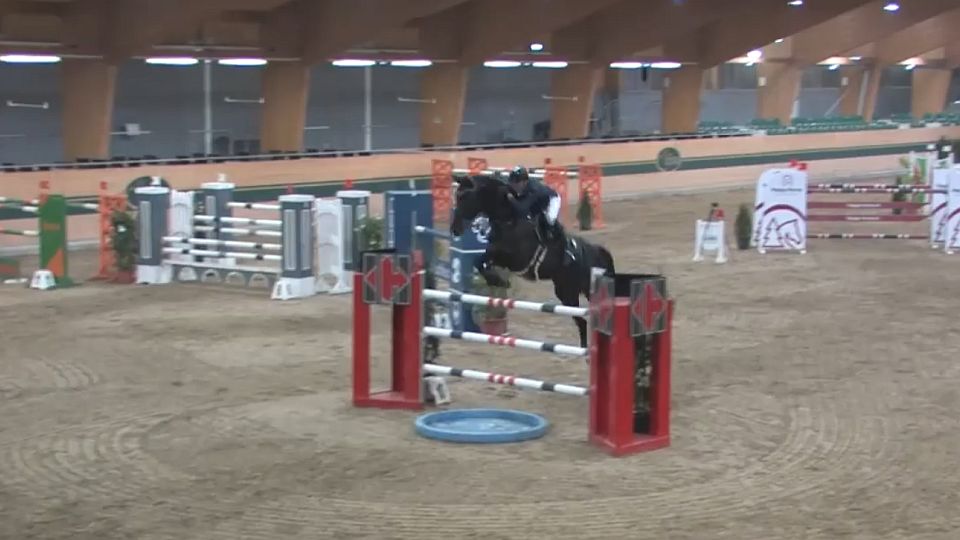 Sezona ještě nekončí. V prosinci budou závodit někteří skokoví jezdci