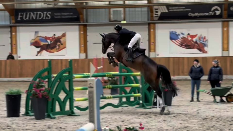 Emma Sophia Španko obsadila šesté místo mezi mladými koňmi v Riesenbecku